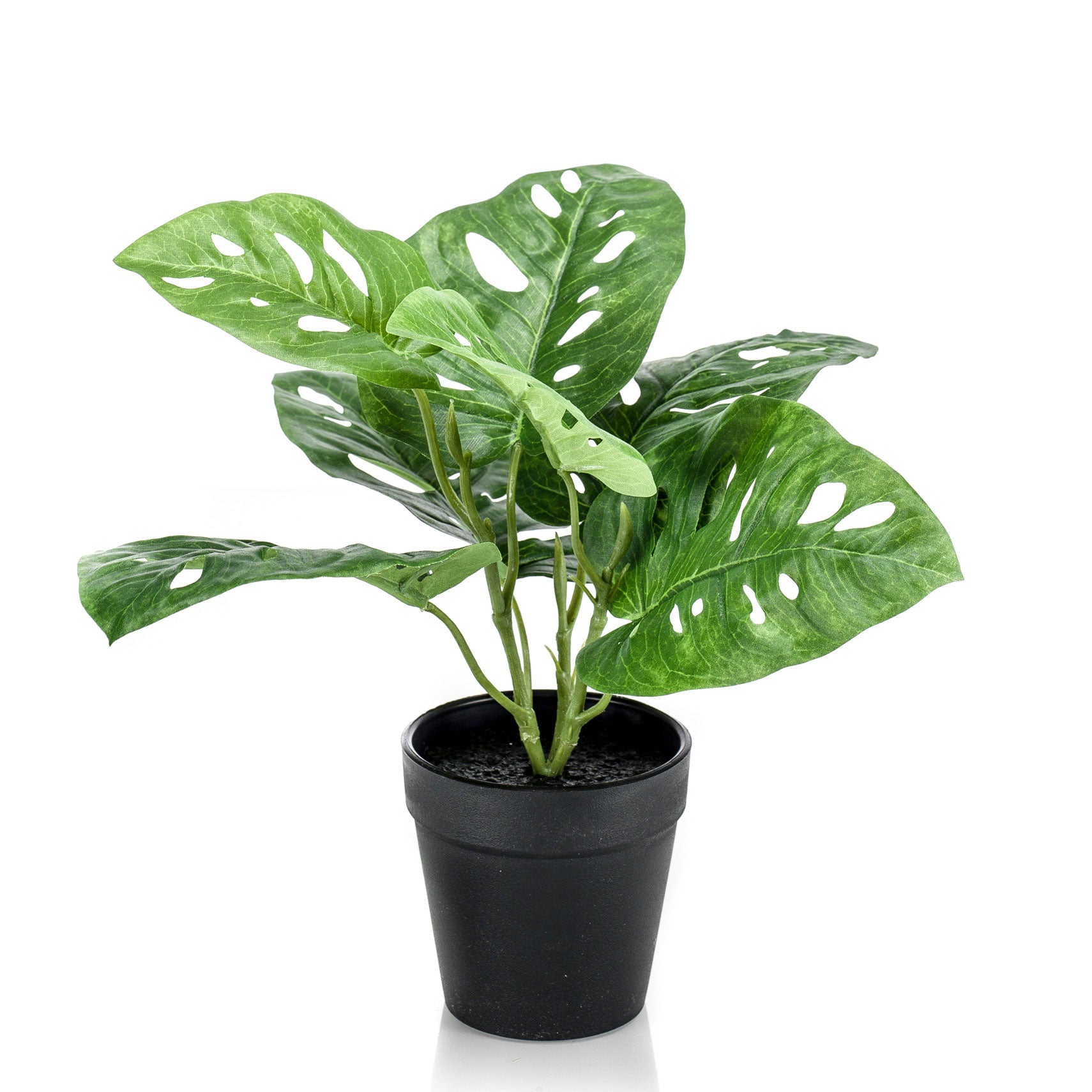 swiss cheese plant artificial Buy Artificial plant Swiss cheese plant Monstera 'Monkey Leaf' incl. decorative black pot