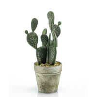Artificial plant Schijfcactus incl. decorative grey pot