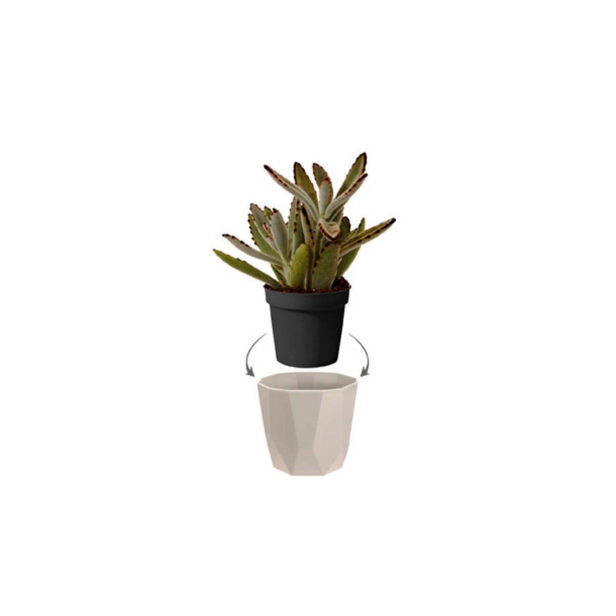 Elho Flower pot B.for rock round grey - Indoor pot