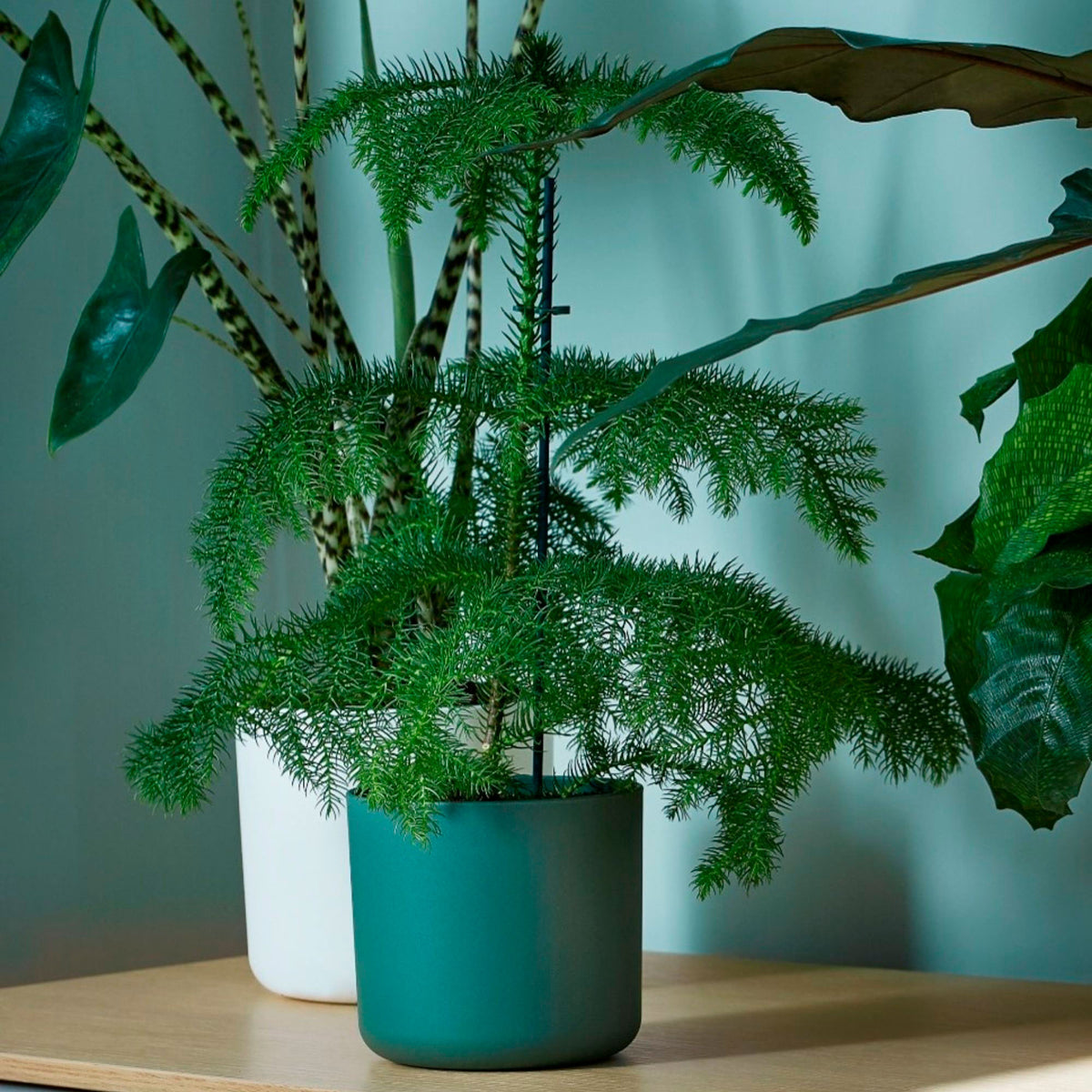 Elho Flower pot B.for soft round green - Indoor pot