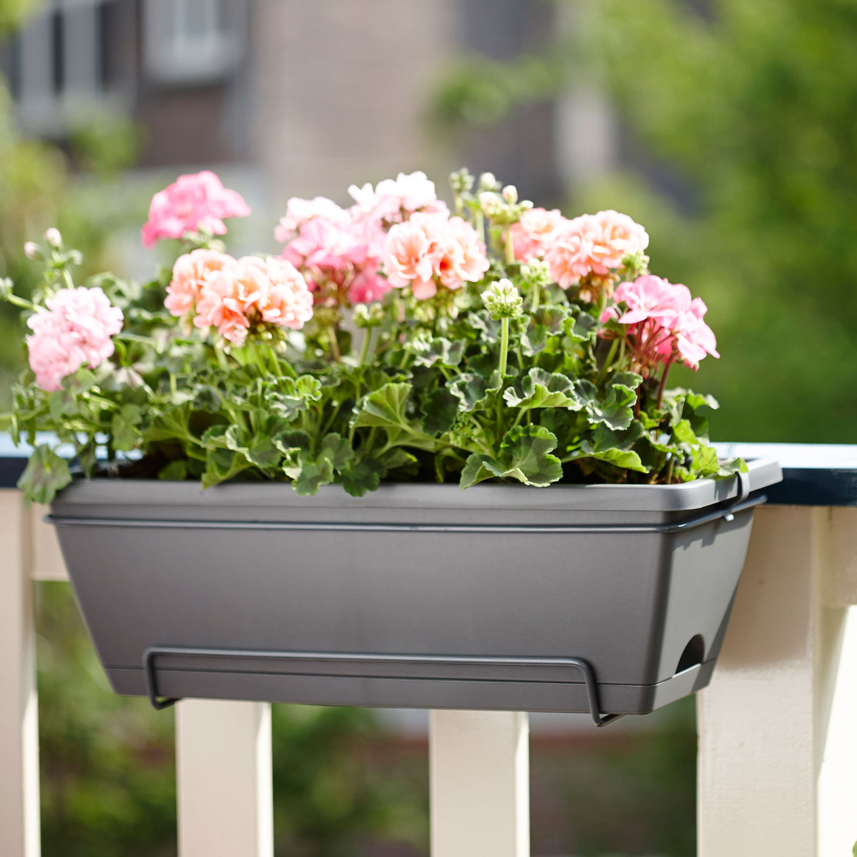 Elho Balcony planter Barcelona allin1 rectangular anthracite - Outdoor pot