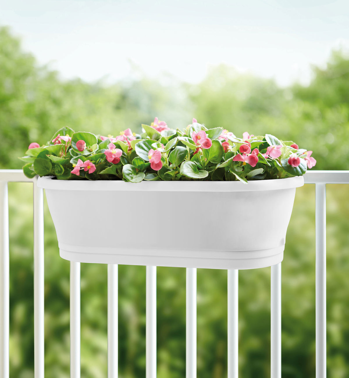Elho Balcony planter Corsica easy balcony oval white - Outdoor pot