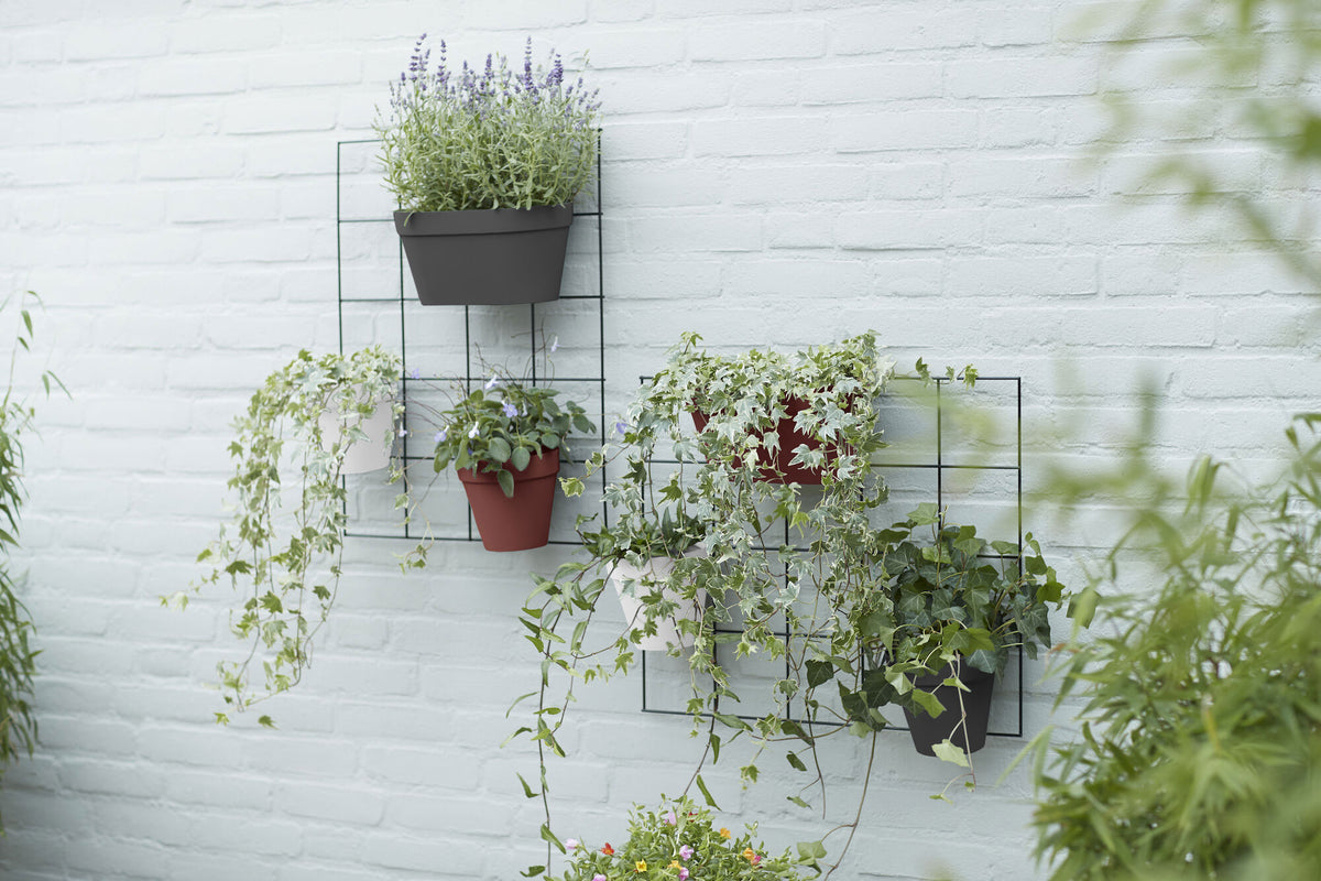 Elho Rack Loft urban Green Wall black