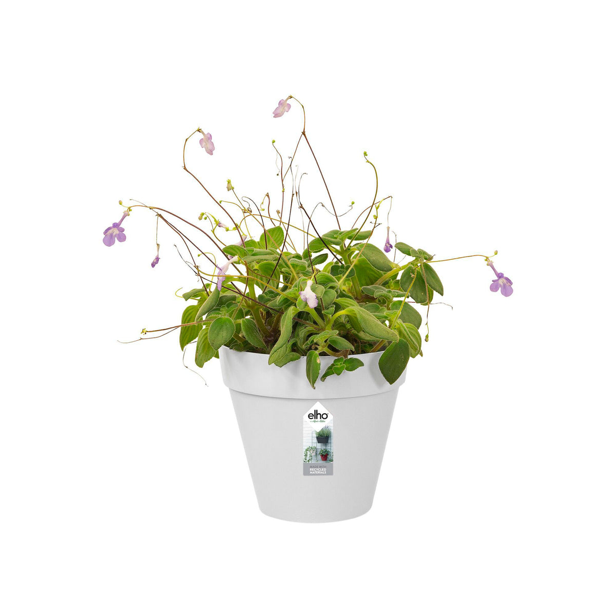 Elho Loft urban Green wall single white - Outdoor pot