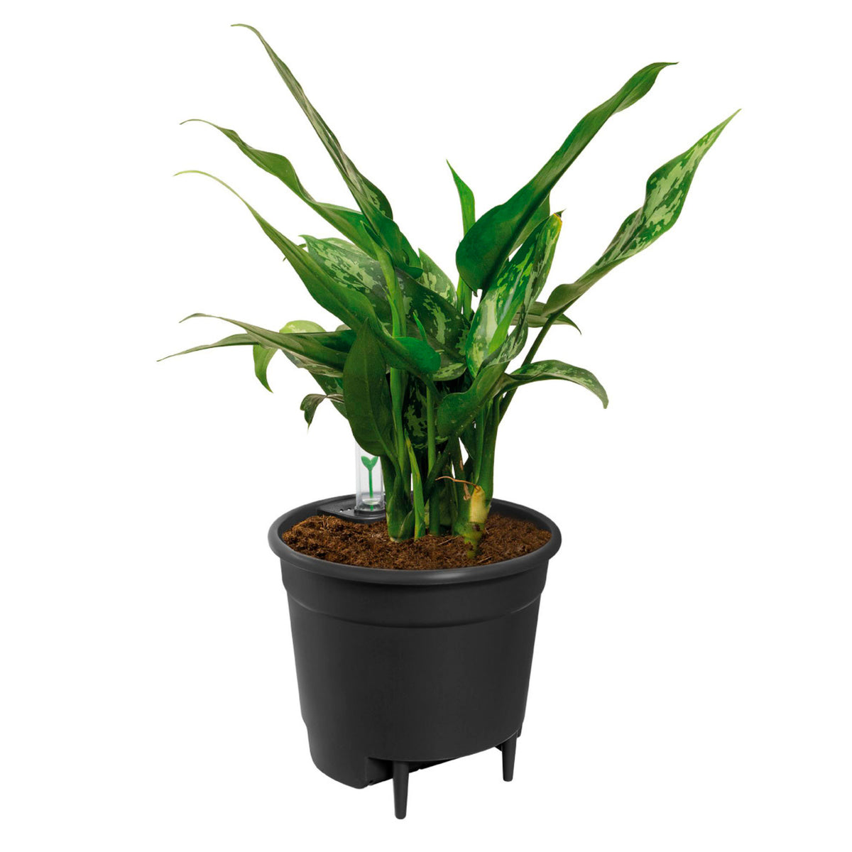 Elho Self-watering insert black