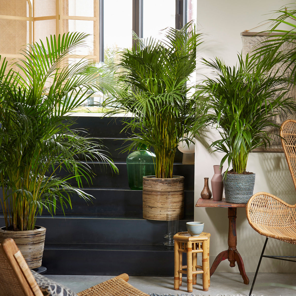 Rattan pot, cylinder grey - Indoor pot