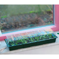 Nature Plastic windowsill grow box green