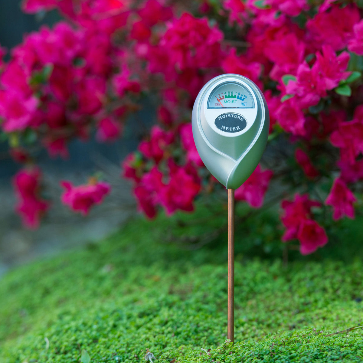 Nature Plastic moisture meter silver