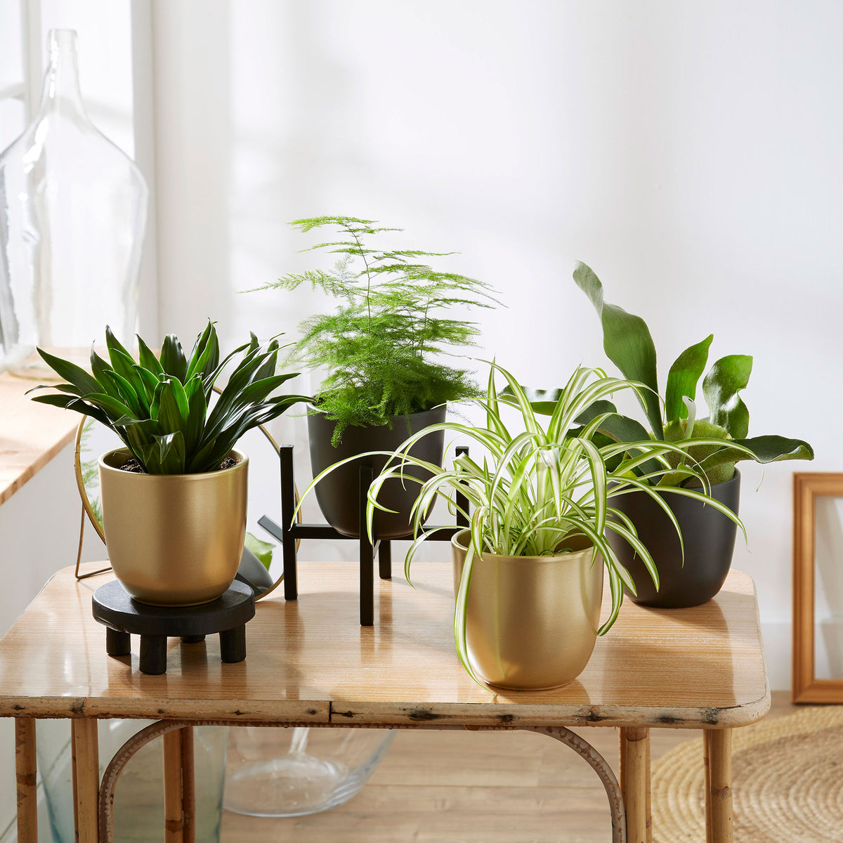 Mica flower pot Lago round gold - Indoor pot