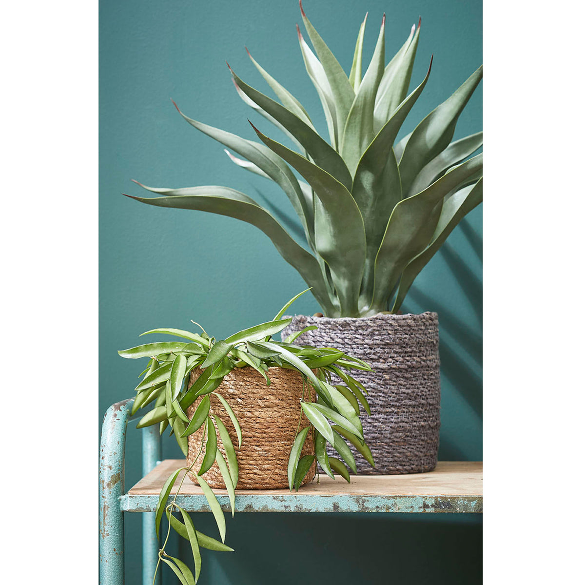 Mica saucer Guido round grey - Indoor pot