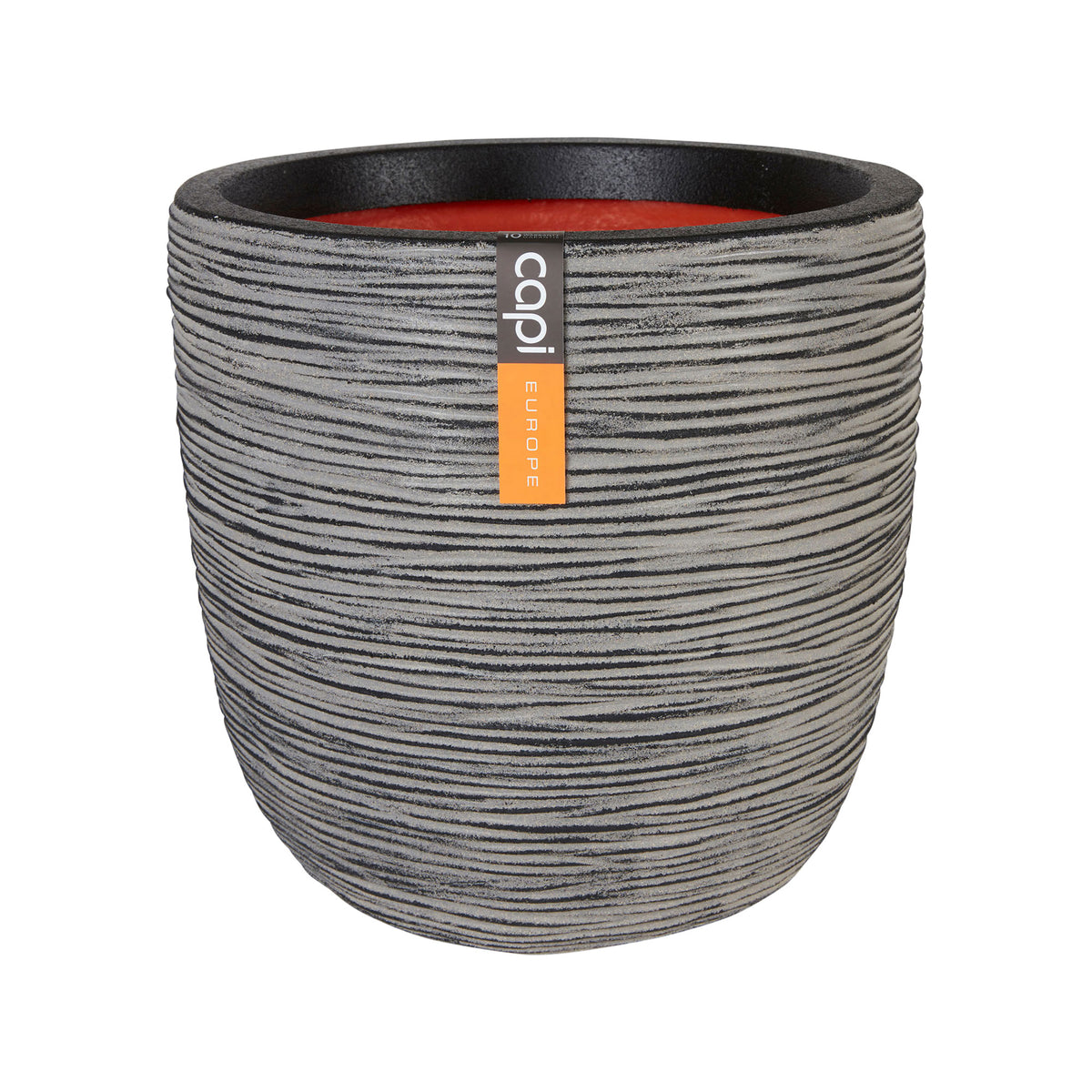 2 Bamboo Fargesia rufa incl. Capi decorative pot, anthracite - Hardy plant