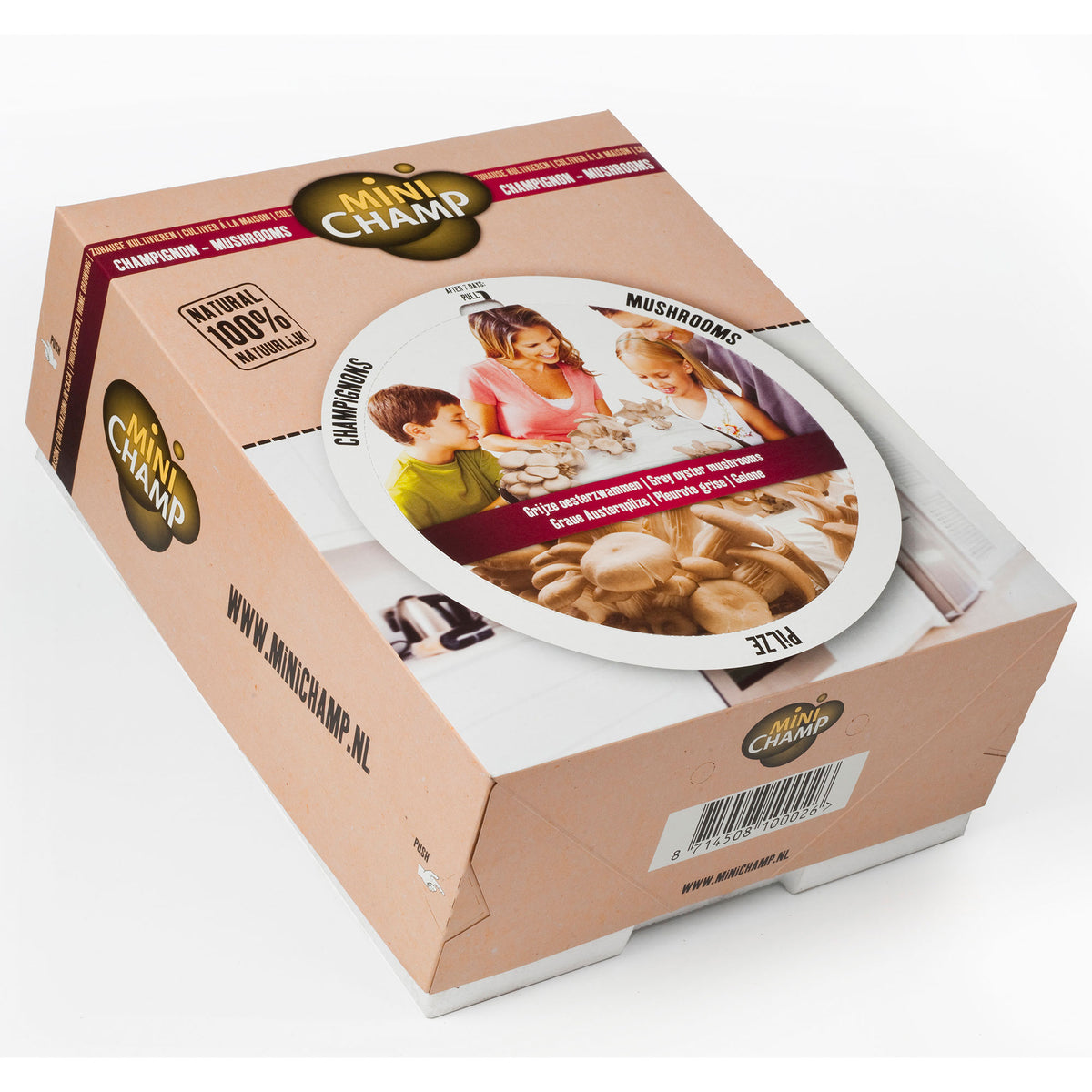 Grey oyster mushroom cultivation set Pleurotus ostreatus — organic