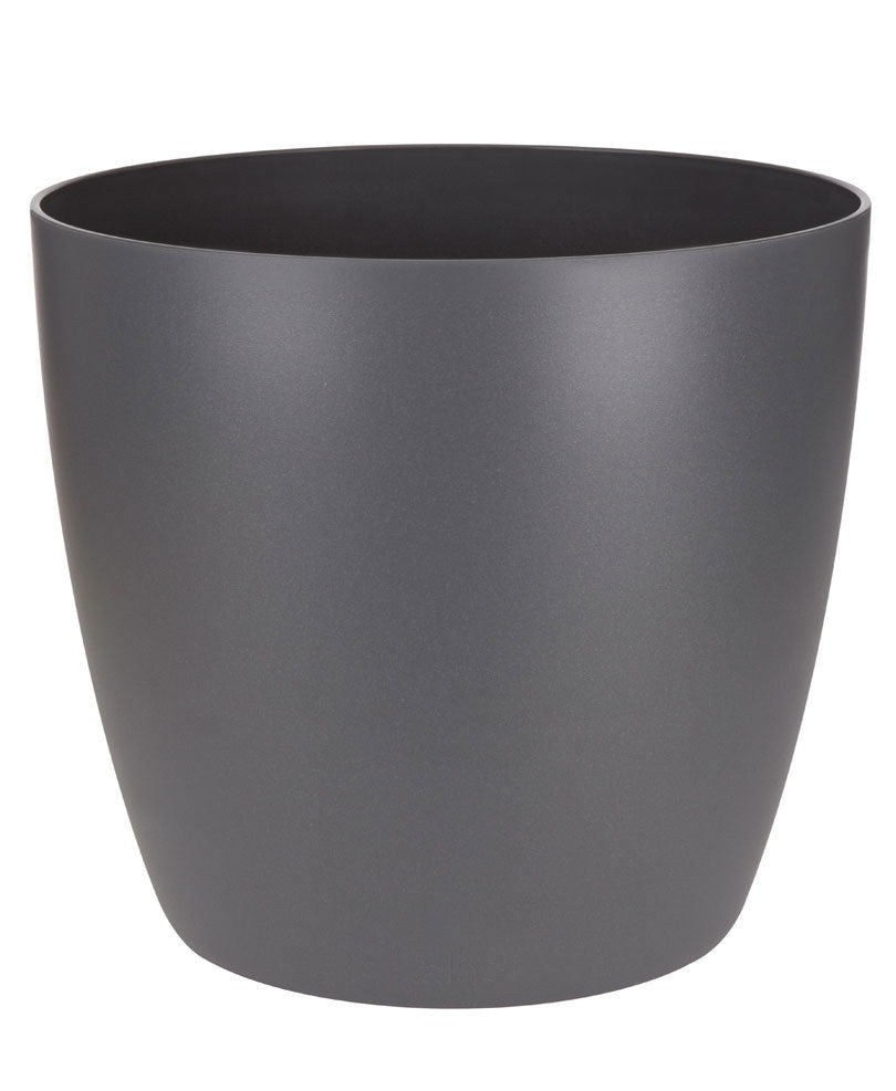 4x Air-purifying indoor plants - Mix including 4x decorative anthracite pots
