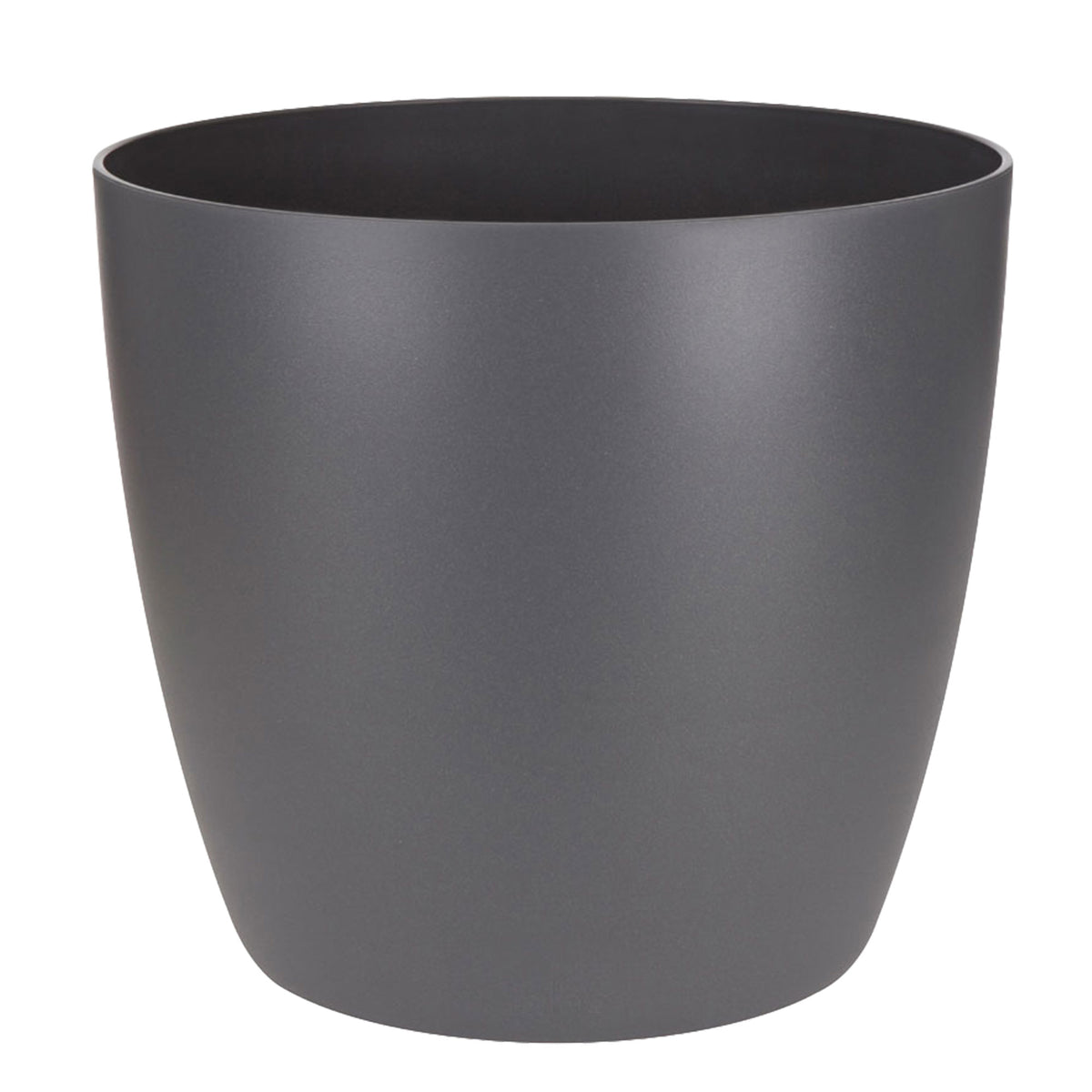 4x Air-purifying Calatheas - Mix including decorative anthracite pots