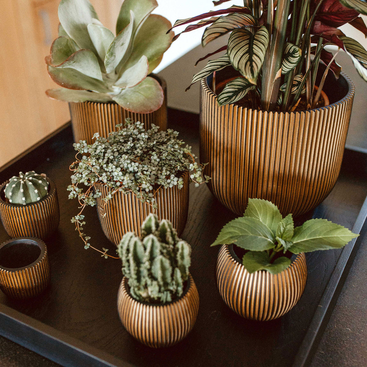 2x Capi Flower Pot Nature Groove round gold - Indoor pot
