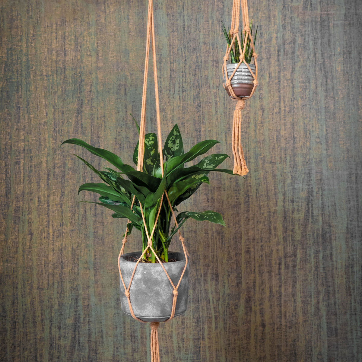 TS Flower pot hanger Macramé cream 120 cm