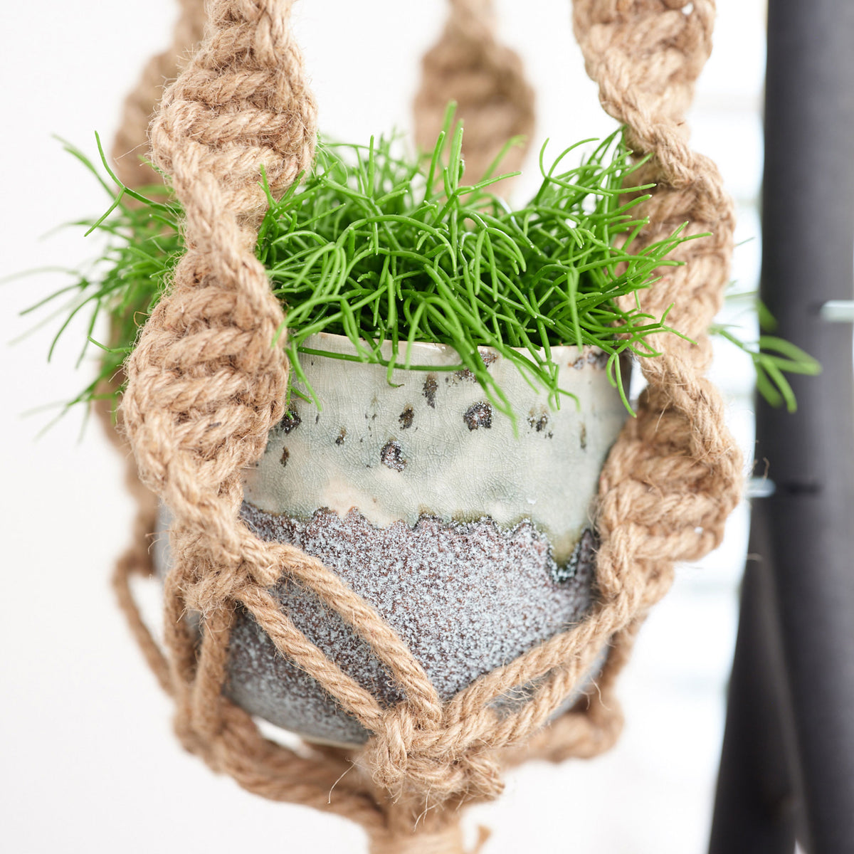TS Flower pot hanger Macramé cream 110 cm