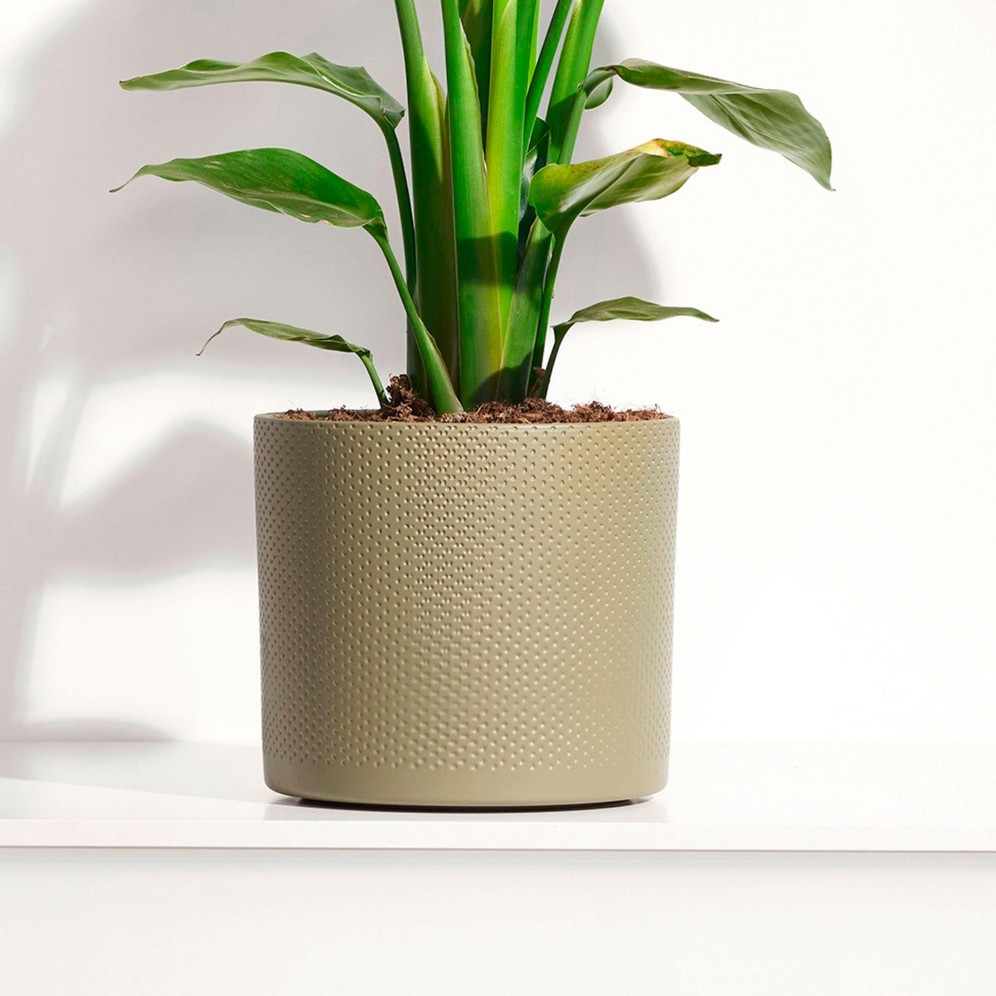 mica decorations plant pots Mica flower pot Era round green relief- Indoor pot