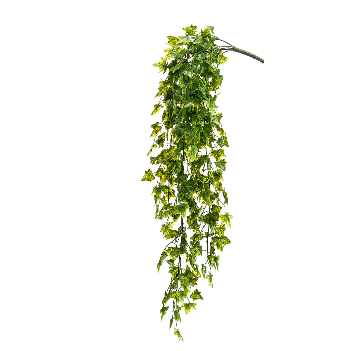 Artificial plant Ivy Hedera helix