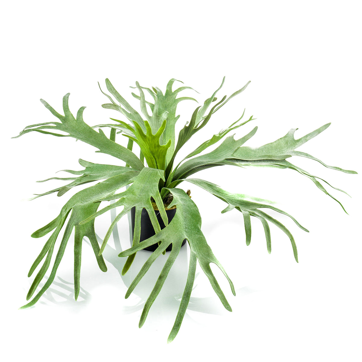 Artificial plant Elkhorn fern Platycerium