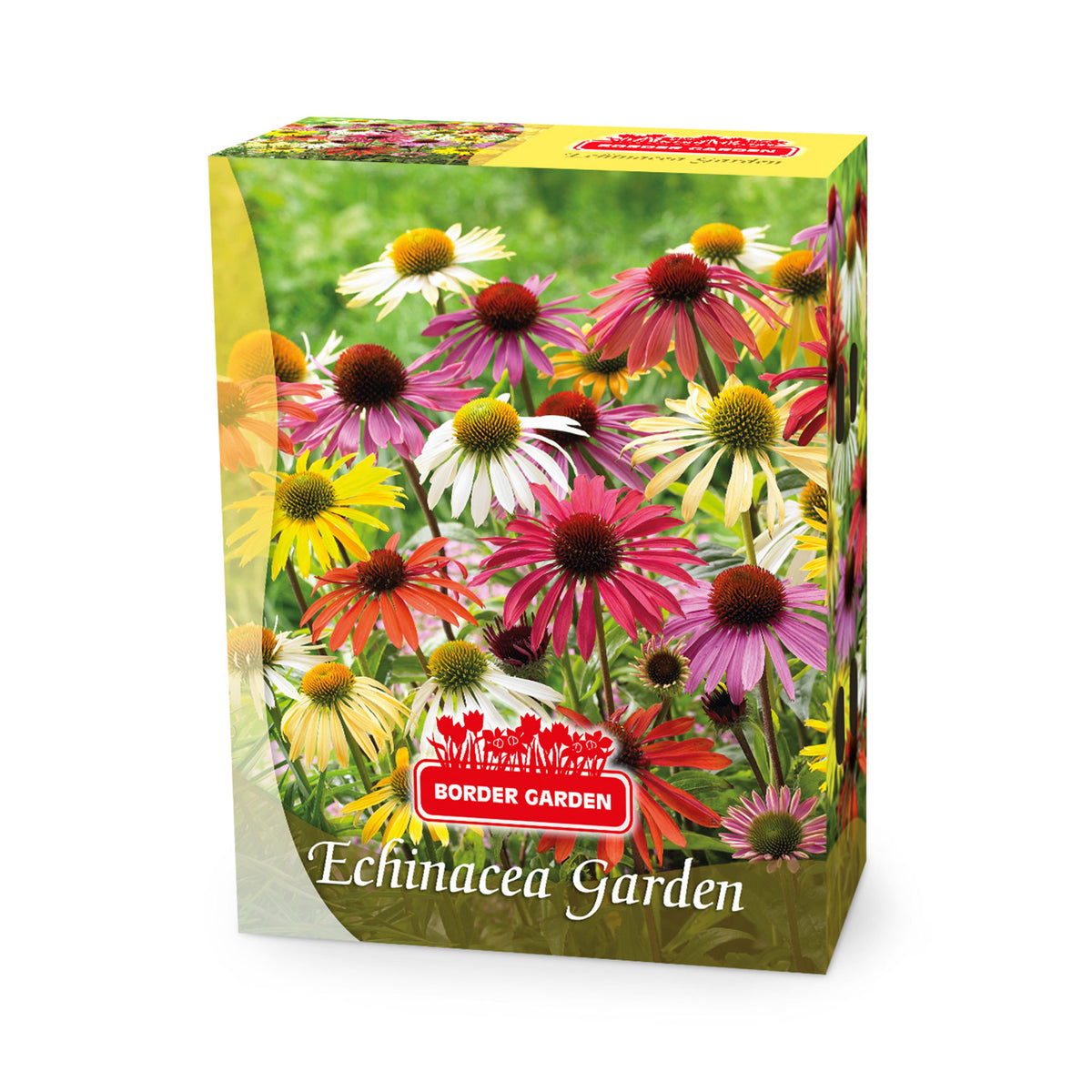 Coneflower Echinacea + Rudbeckia 'Goldsturm' - Mix Pink-White-Yellow - Bare rooted - Hardy plant
