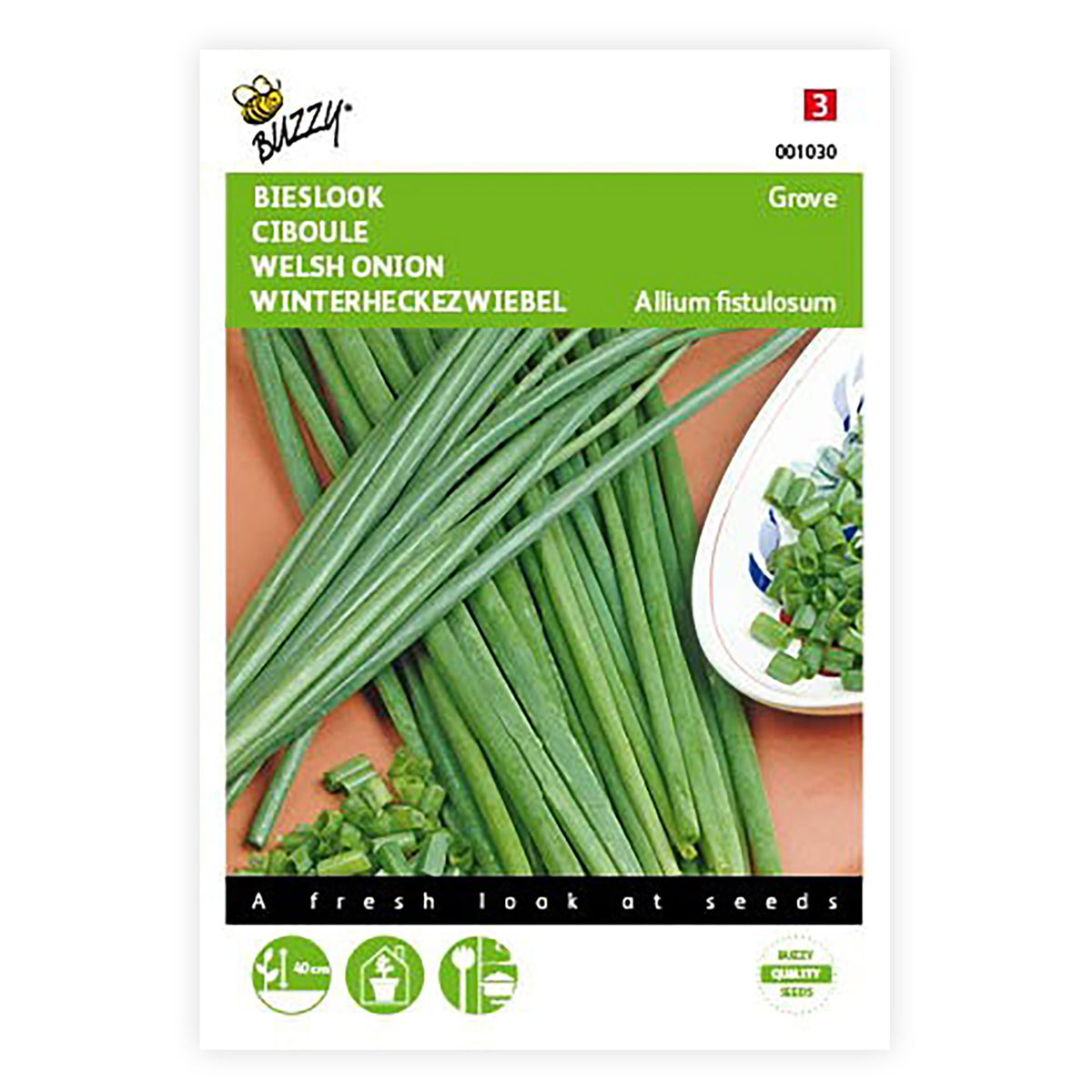 Chives Allium schoenoprasum 3 m² - Herb seeds