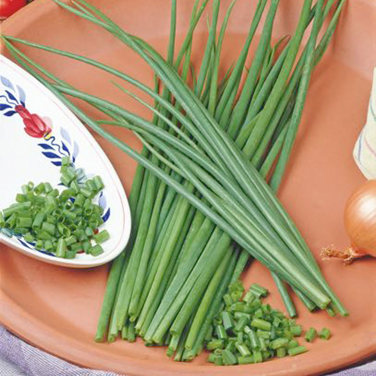 Chives Allium schoenoprasum 3 m² - Herb seeds