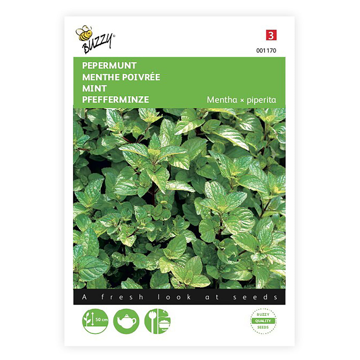 Peppermint Mentha piperita 5 m² - Herb seeds