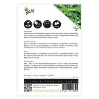 Peppermint Mentha piperita 5 m² - Herb seeds