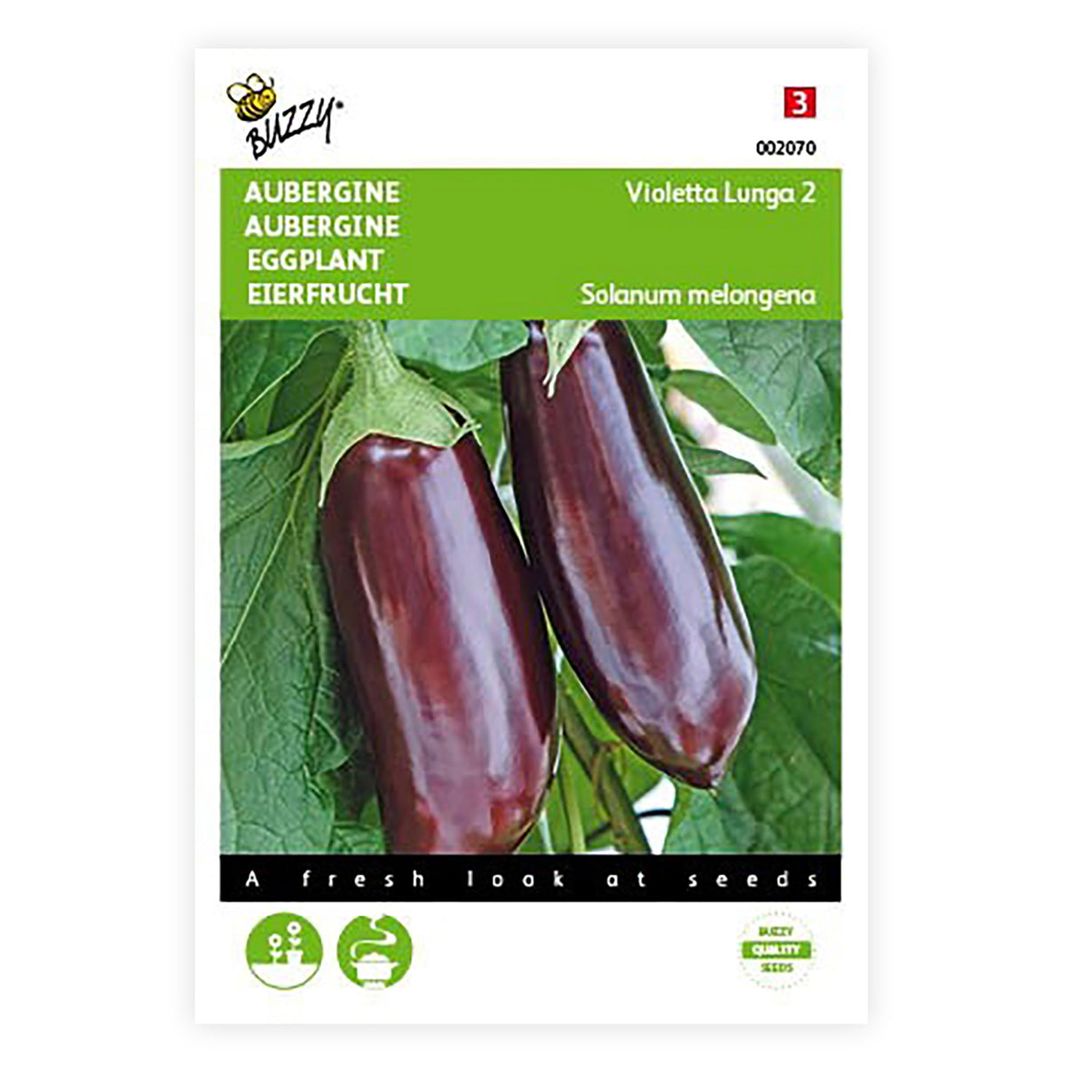 Aubergine Solanum 'Violetta Lunga' 10 m² - Vegetable seeds
