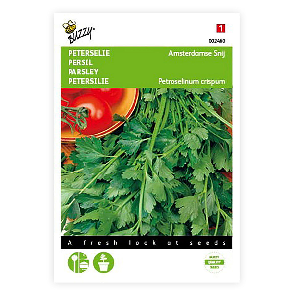 Curly parsley Petroselinum 'Amsterdamse Snij' 20 m² - Herb seeds