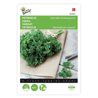 Curly-leaf parsley Petroselinum crispum 2,5 m² - Herb seeds