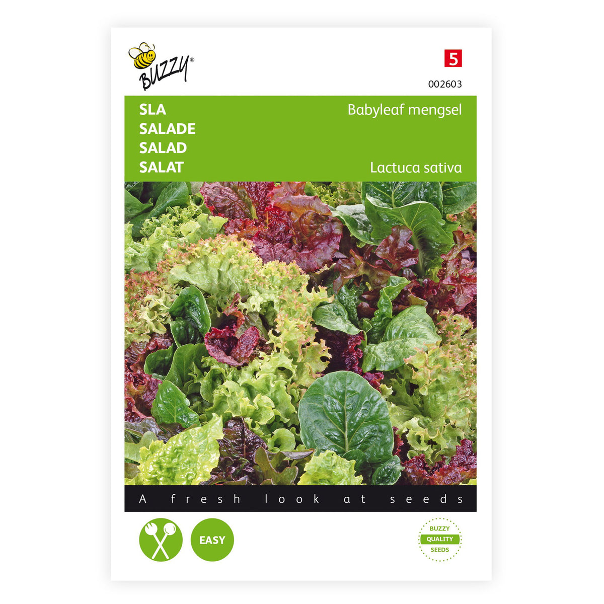 Butterhead lettuce Lactuca - Mix 10 m² - Vegetable seeds