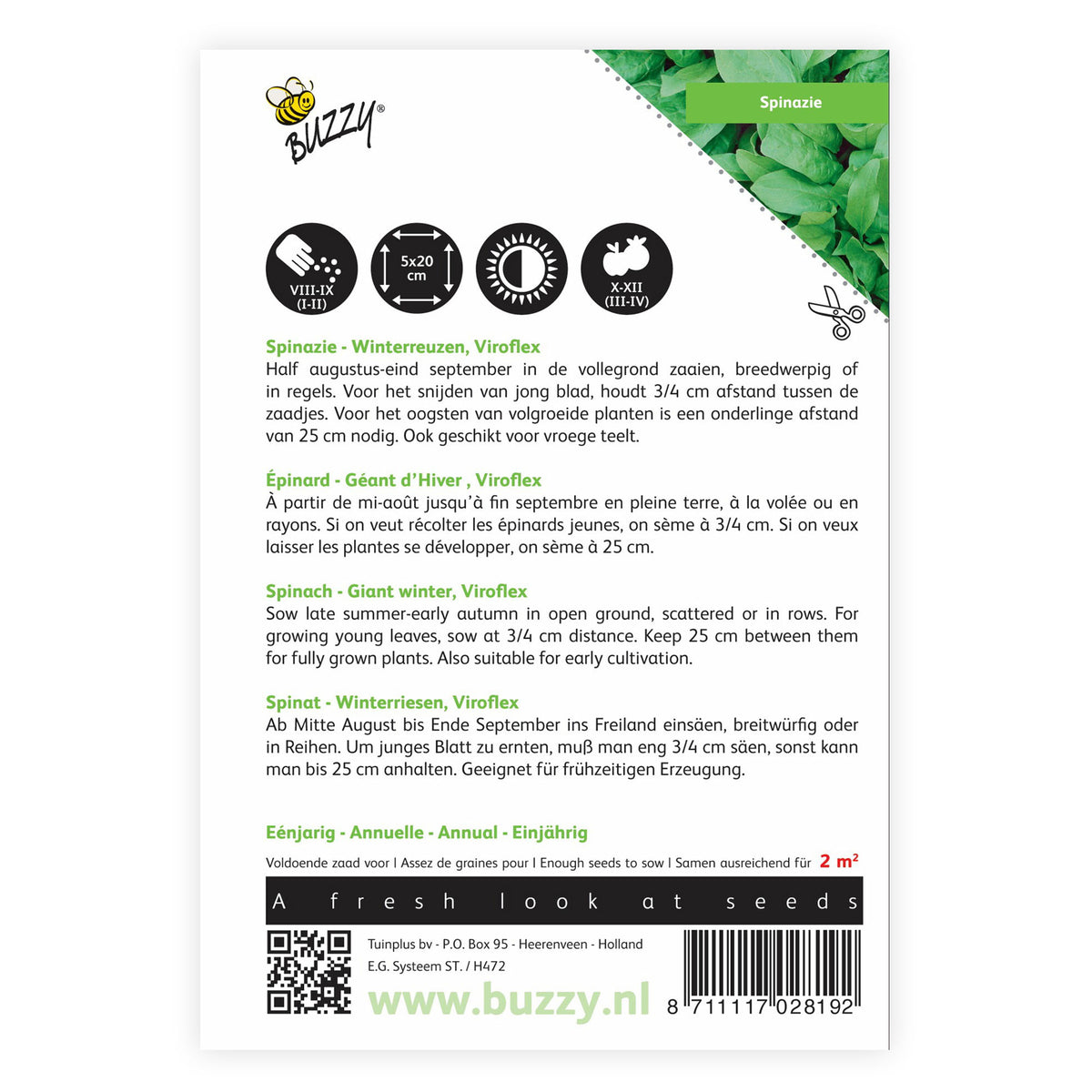 Spinach Spinacia 'Winterreuzen' 2 m² - Vegetable seeds