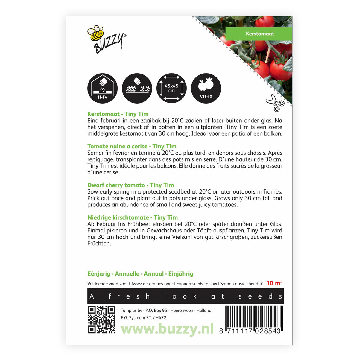 Cherry tomato Solanum 'Tiny Tim' 10 m² - Vegetable seeds