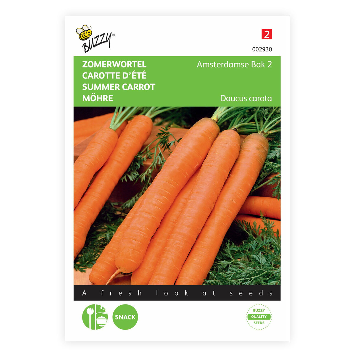 Carrot Daucus 'Amsterdamse bak' 15 m² - Vegetable seeds