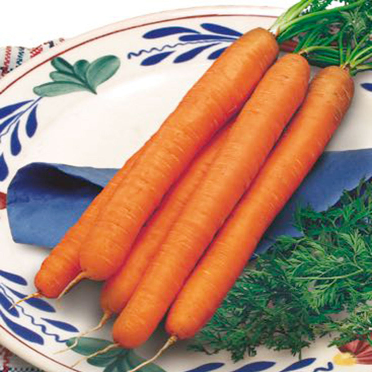 Carrot Daucus 'Amsterdamse bak' 15 m² - Vegetable seeds
