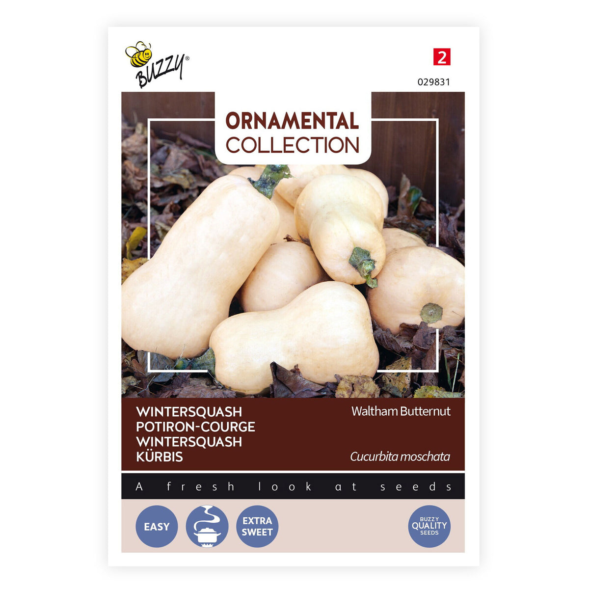 Acorn squash Cucurbita 'Waltham Butternut' white 3 m² - Vegetable seeds