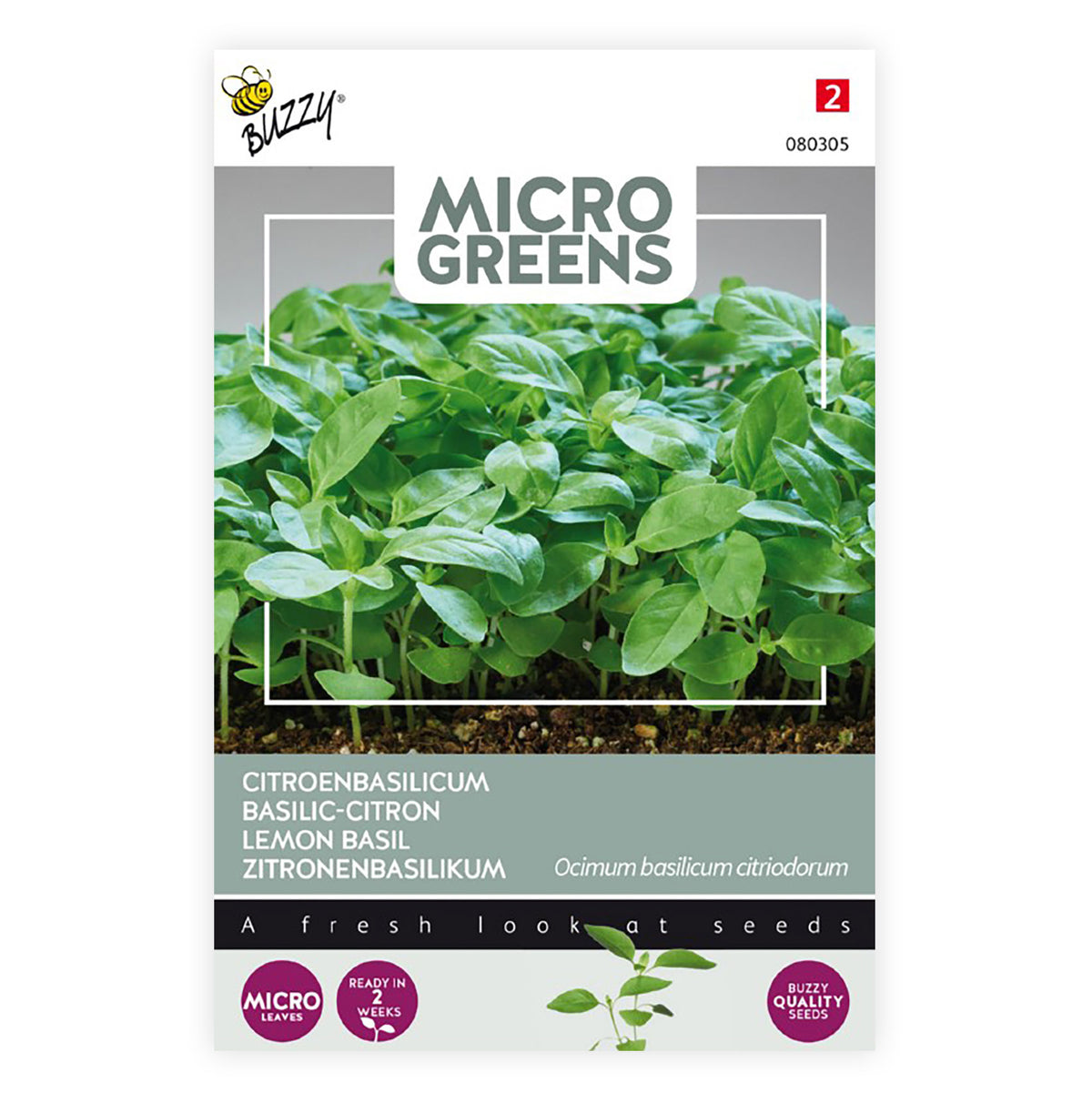 Lemon basil Ocimum basilicum - Herb seeds