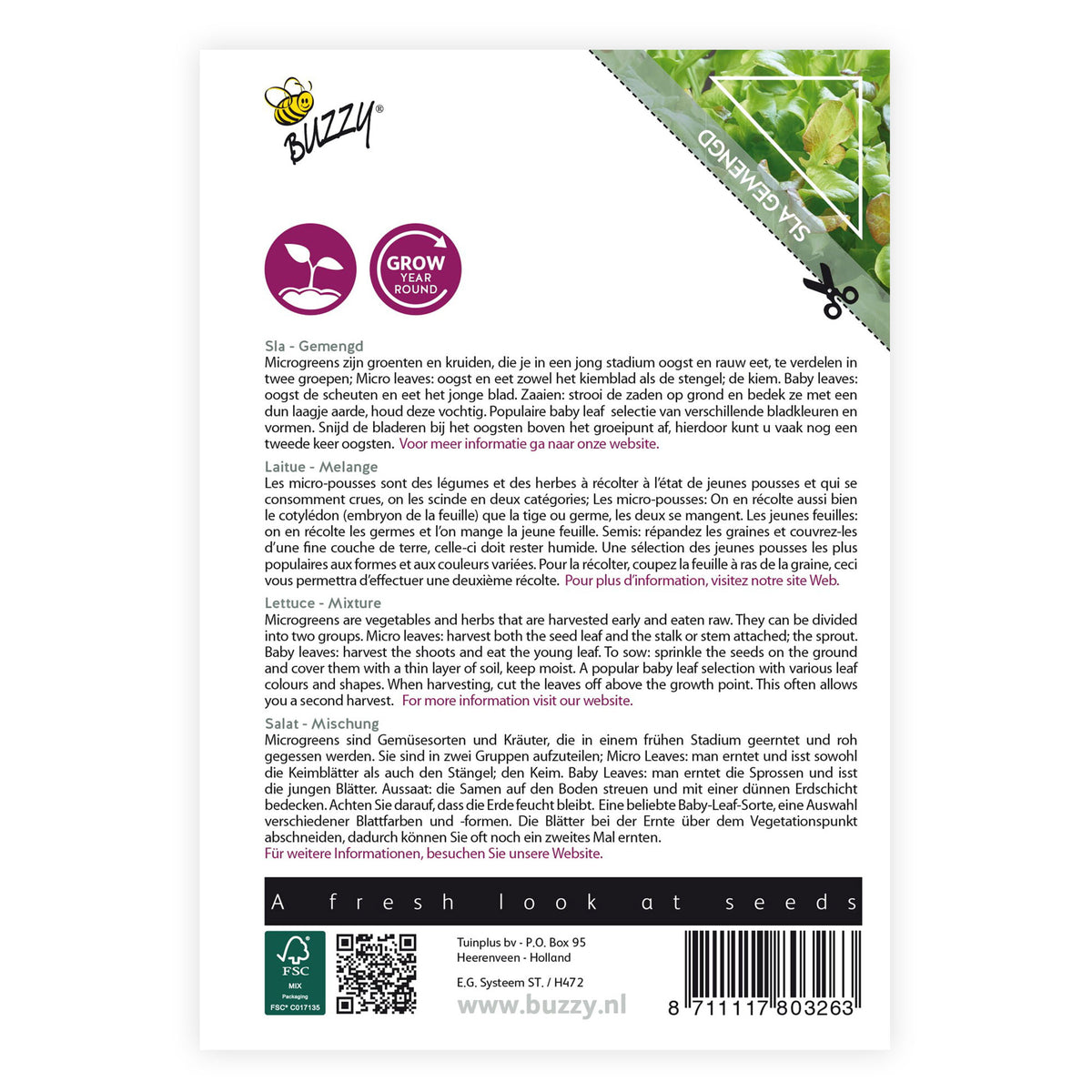 Lettuce Lactuca sativa - Mix - Vegetable seeds