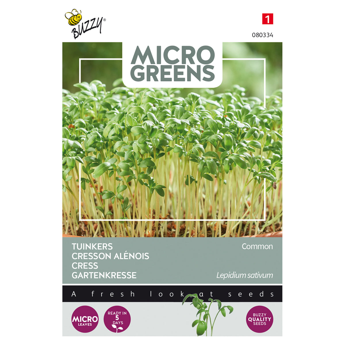 Cress Lepidium sativum - Herb seeds