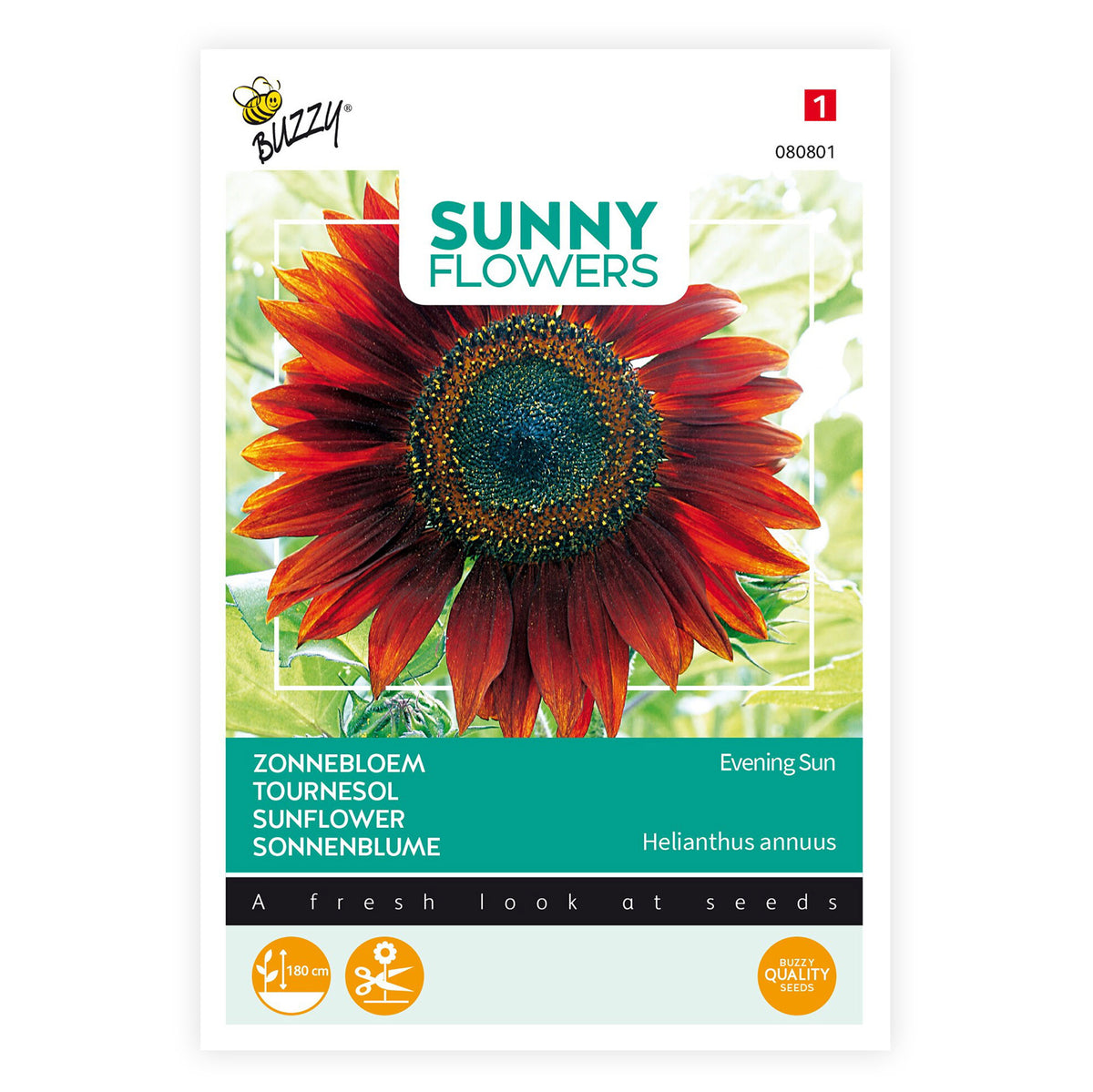 Sunflower Helianthus 'Avondzon' 5 m² - Flower seeds Red-Brown