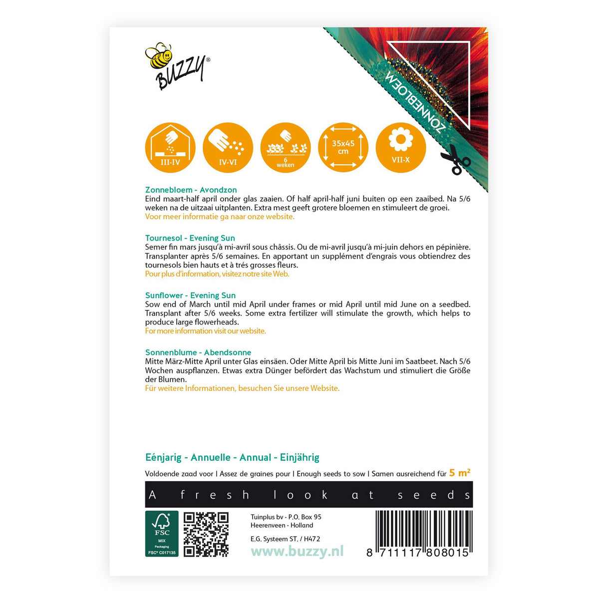 Sunflower Helianthus 'Avondzon' 5 m² - Flower seeds Red-Brown