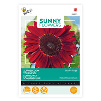 Sunflower Helianthus 'Moulin Rouge' red 3 m² - Flower seeds