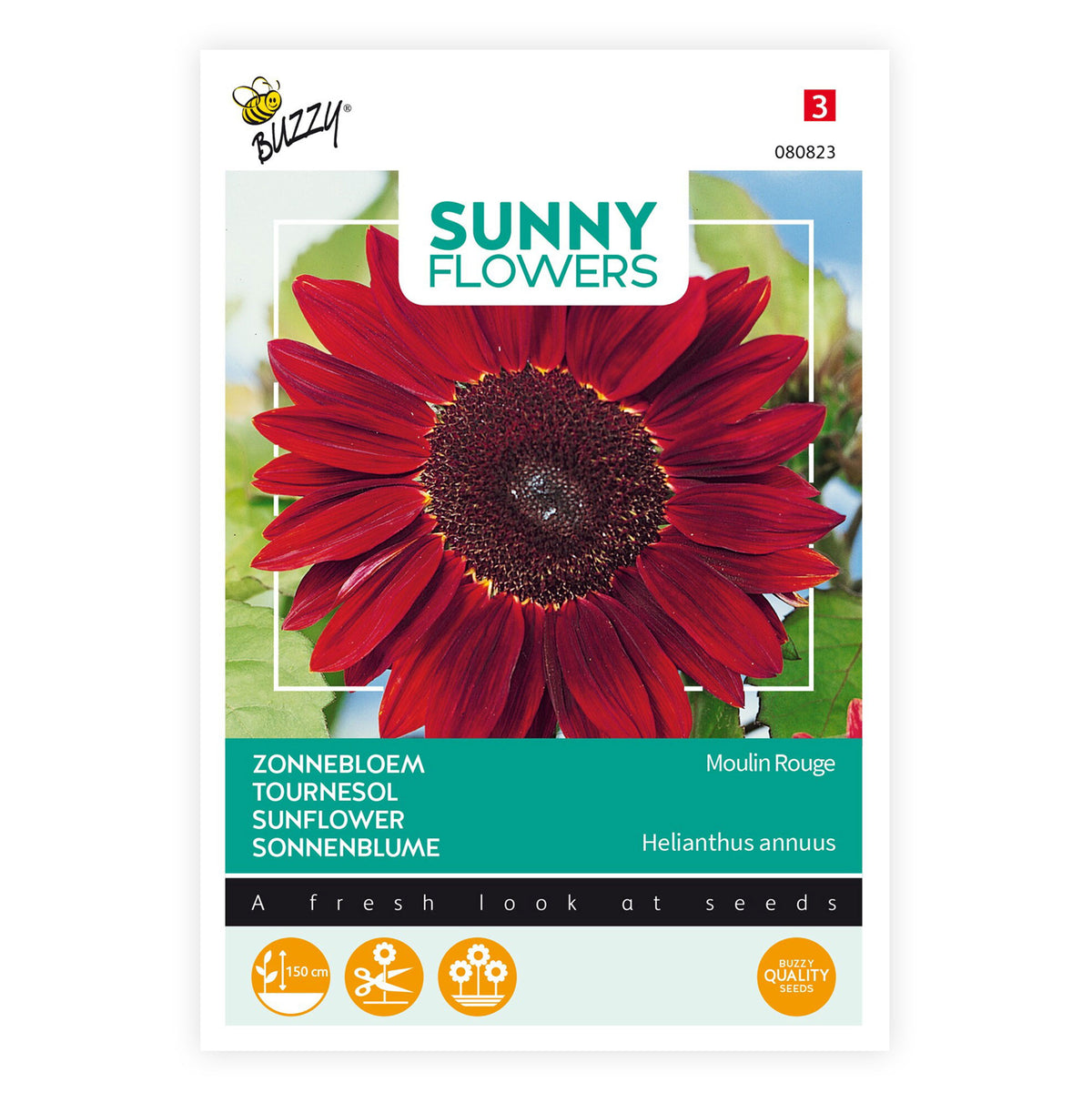 Sunflower Helianthus 'Moulin Rouge' red 3 m² - Flower seeds