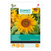 Sunflower Helianthus 'Irish Eyes' yellow 3 m² - Flower seeds