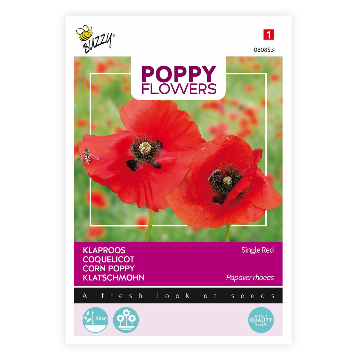 Poppy rhoeas red 2 m² - Flower seeds