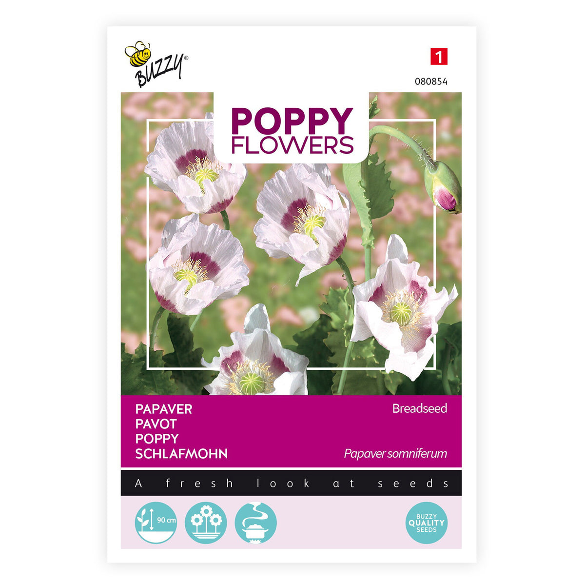 Poppy somniferum white 2 m² - Flower seeds