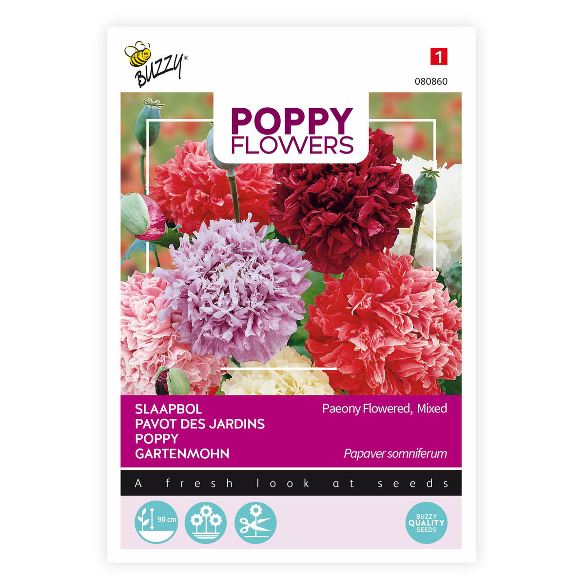 Poppy paeoniflorum red-purple-pink 1 m² - Flower seeds