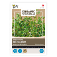 Broccoli cress Brassica oleracea - Organic 36 m² - Vegetable seeds